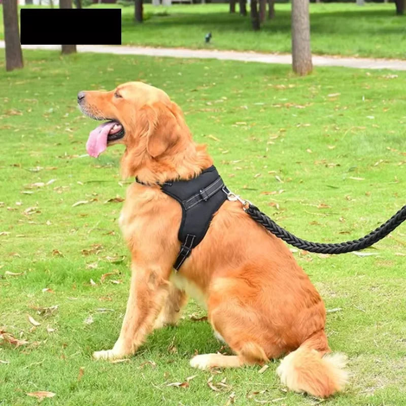 Coleira Peitoral para Cães