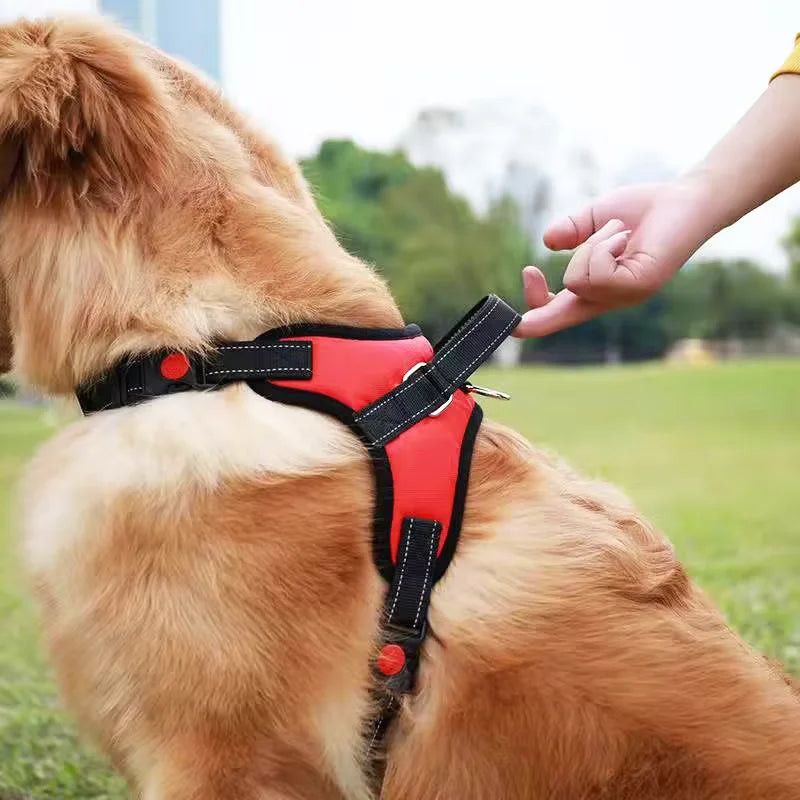 Coleira Peitoral para Cães